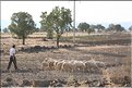 TR2007_1171