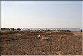 TR2007_1174