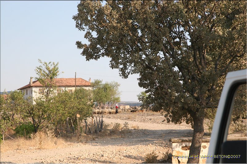 TR2007_1177