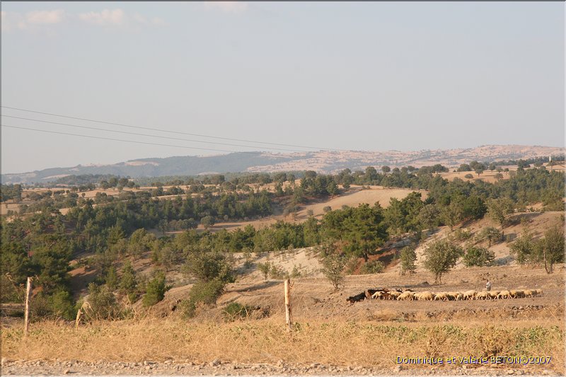 TR2007_1179