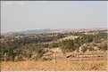 TR2007_1179