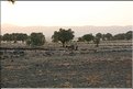 TR2007_1181