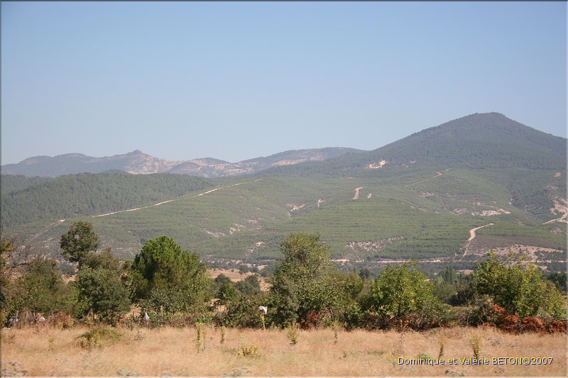 TR2007_1188