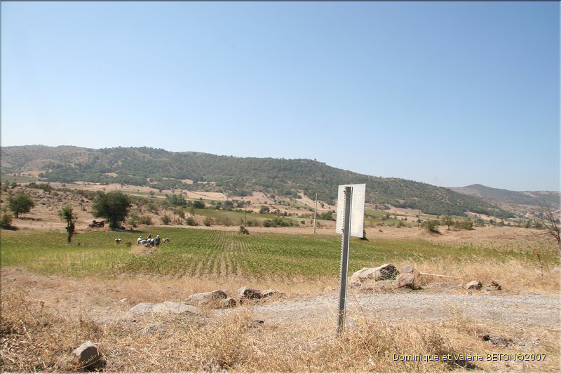 TR2007_1192