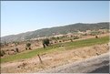 TR2007_1199