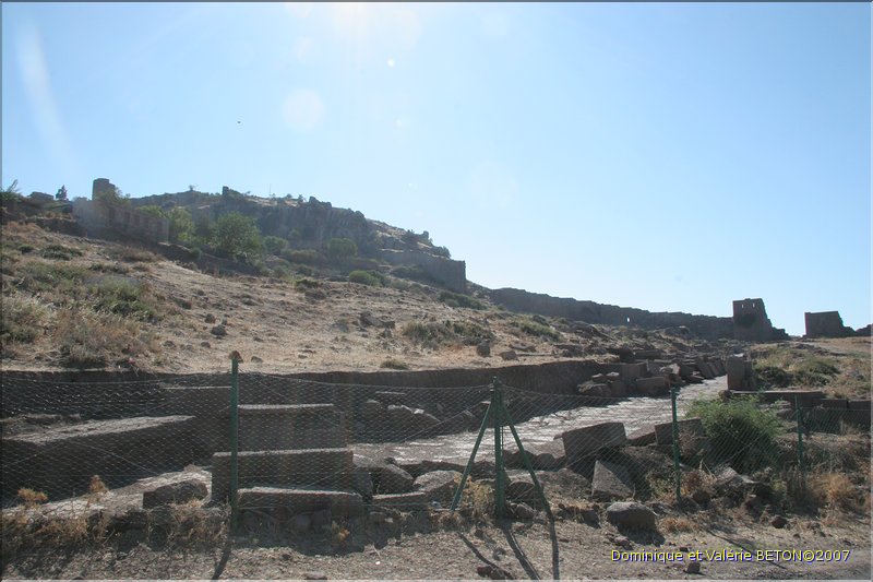 TR2007_1206