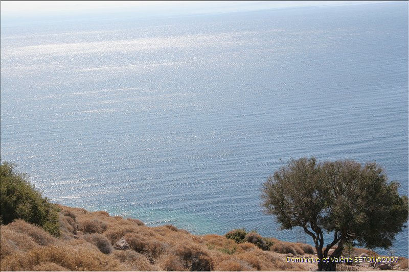 TR2007_1218