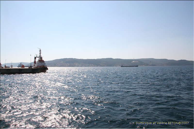 TR2007_1236