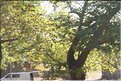 TR2007_1242