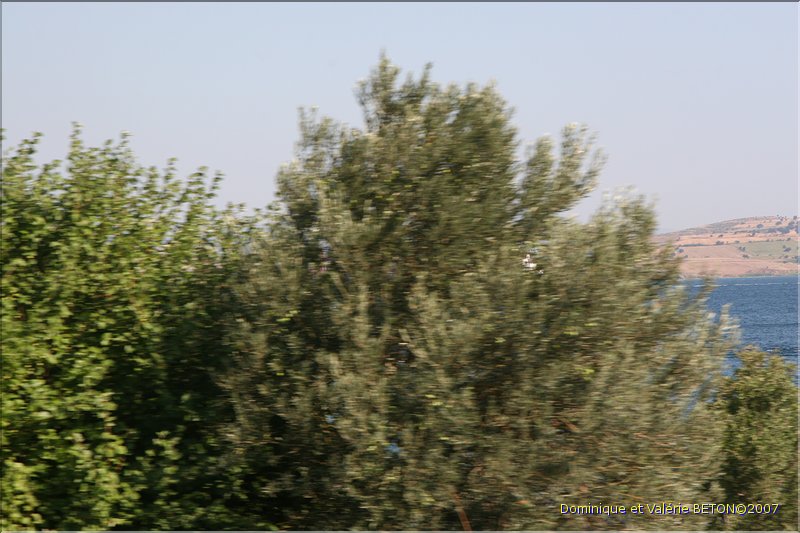 TR2007_1243