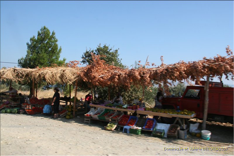 TR2007_1246