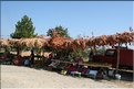 TR2007_1246