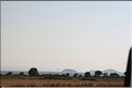 TR2007_1248