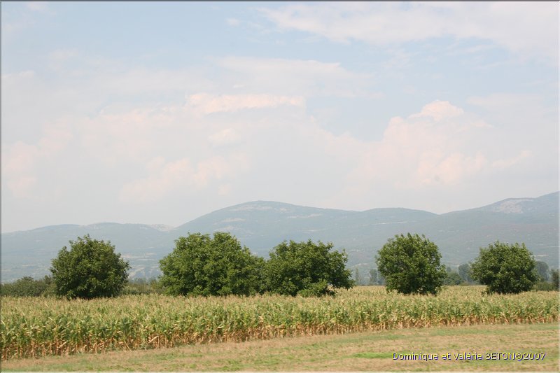 TR2007_1287