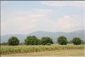 TR2007_1287
