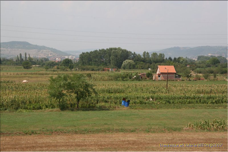 TR2007_1288