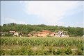 TR2007_1291