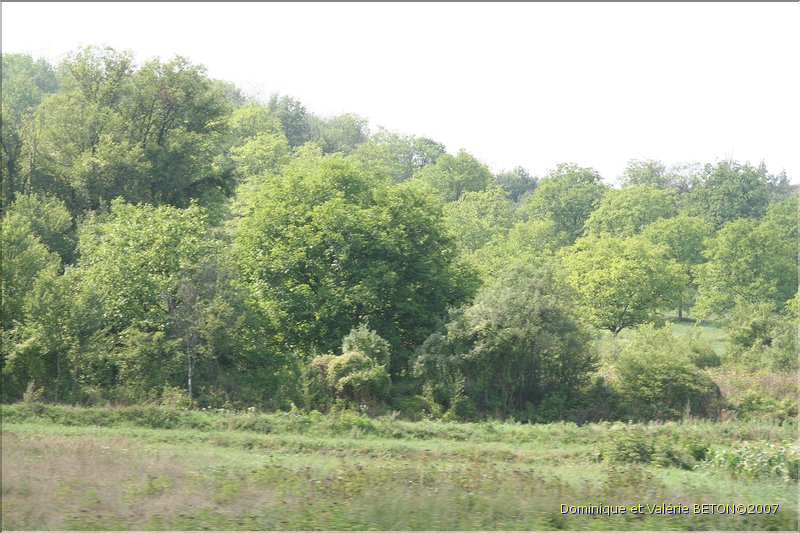 TR2007_1293