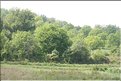TR2007_1293