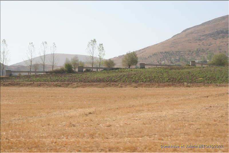 TR2007_1312