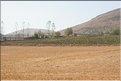 TR2007_1312