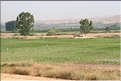 TR2007_1314