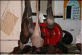 SMA_20080806_013