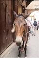 SMA_20080806_035