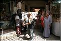 SMA_20080806_036