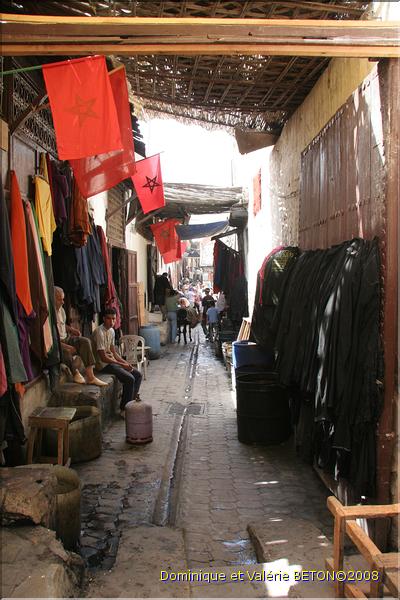 SMA_20080806_045