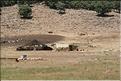 SMA_20080807_071