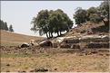 SMA_20080807_073