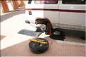 SMA_20080808_079