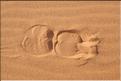 SMA_20080809_098