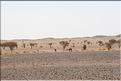 SMA_20080810_114