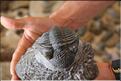 SMA_20080810_115