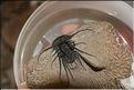 SMA_20080810_117