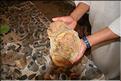 SMA_20080810_119