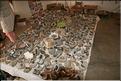 SMA_20080810_120