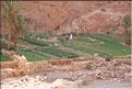 SMA_20080811_130