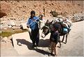 SMA_20080811_131