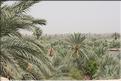 SMA_20080813_183