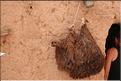 SMA_20080813_188