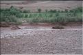 SMA_20080815_198