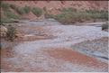 SMA_20080815_199