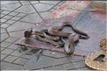 SMA_20080816_220
