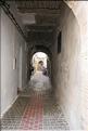 SMA_20080817_238