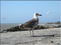 SMA_20080817_243
