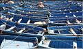 SMA_20080817_244