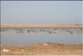 SMA_20080820_254
